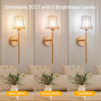 Dolovira Rechargeable Crystal Wall Sconce with Remote Control