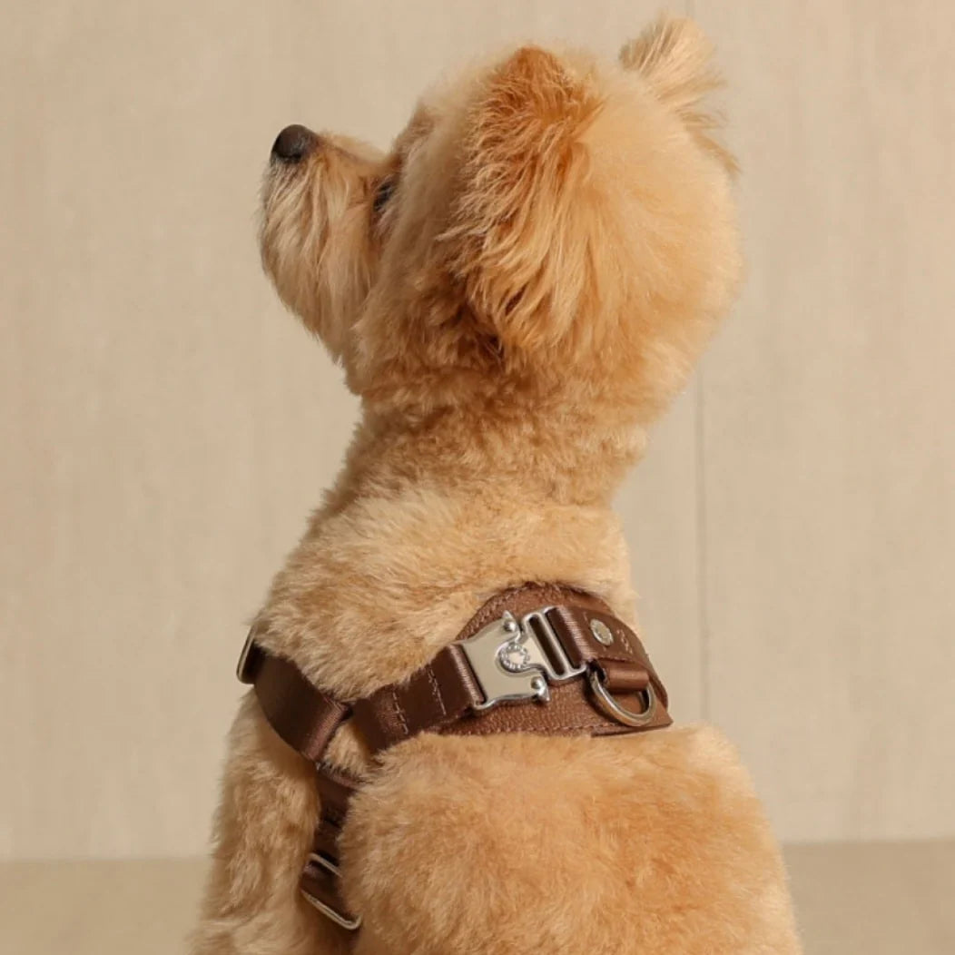 Horsebit Harness : Mocha