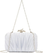Dolovira Pleated Evening Clutch Bag