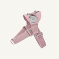 Bridle Harness : Pink