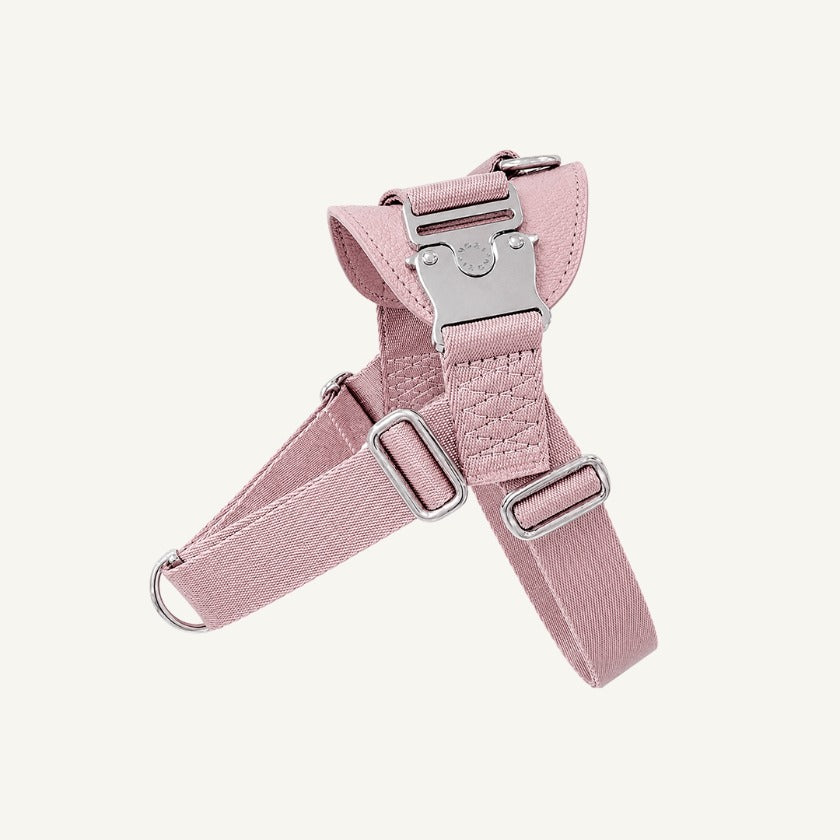 Bridle Harness : Pink