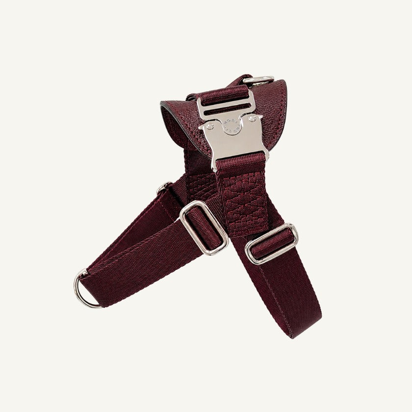 Bridle Harness : Burgundy