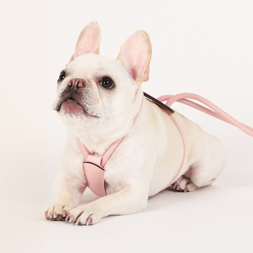 Essential Harness - Pink
