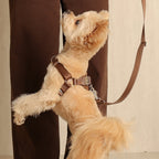 Horsebit Harness : Mocha