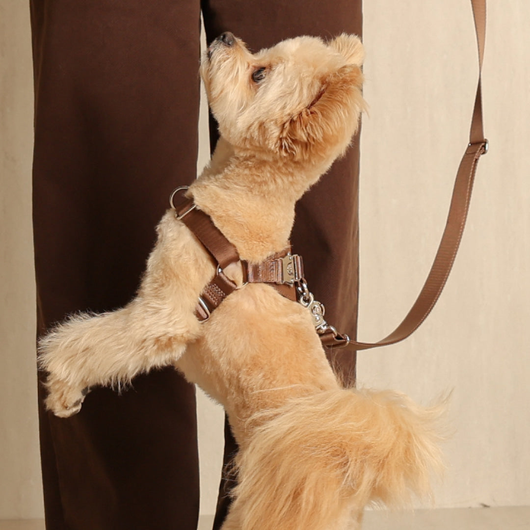 Horsebit Harness : Mocha