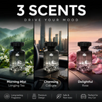 🔥Last Day 49% OFF🔥Fine Fragrance. Refresh Your Drive.