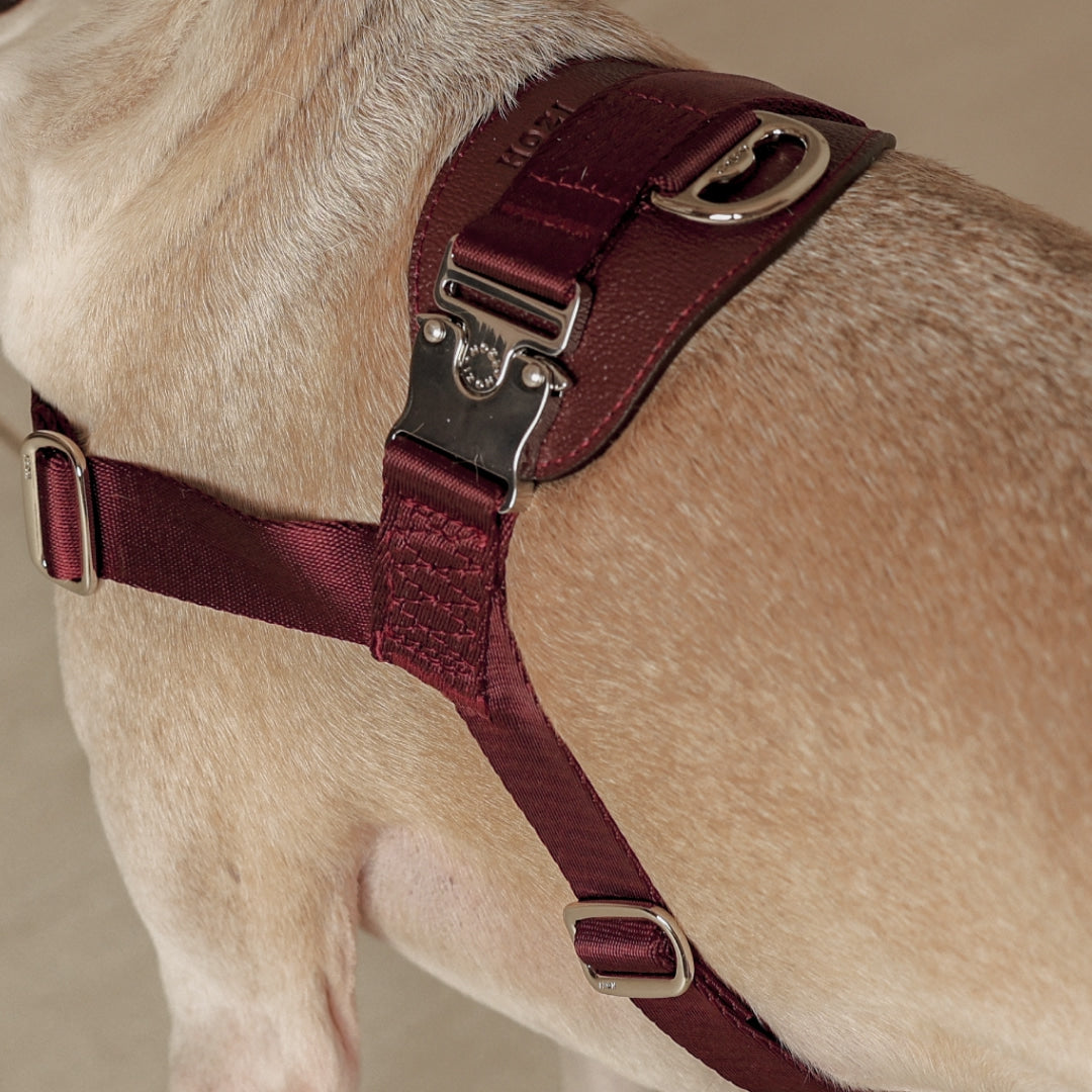 Bridle Harness : Burgundy