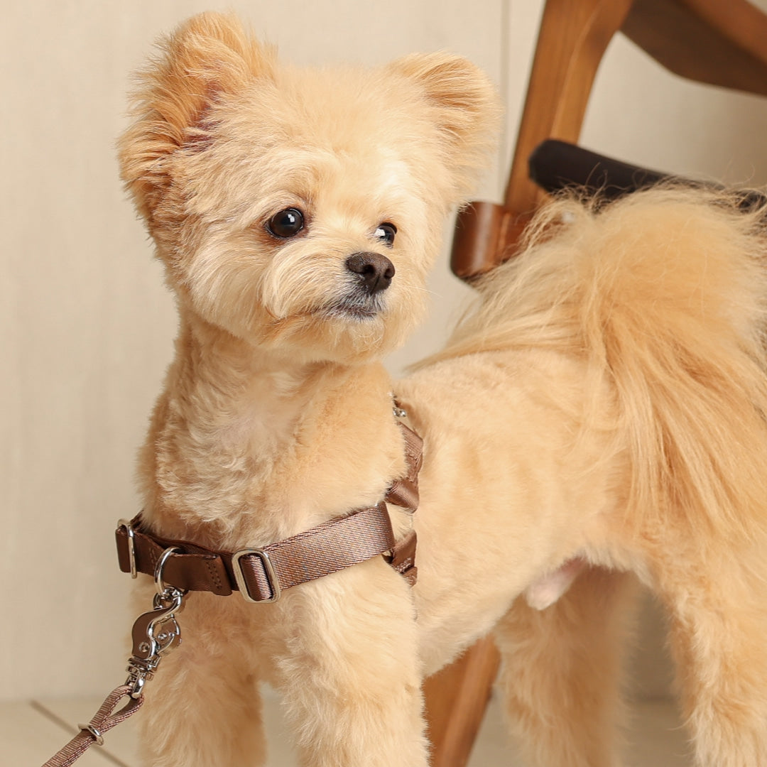 Horsebit Harness : Mocha