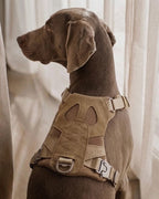 Artisan Harness : Beige