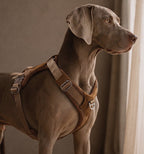 Artisan Harness : Beige