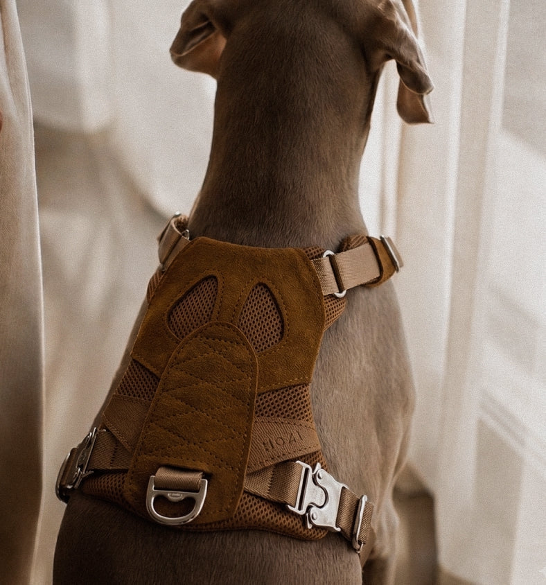 Artisan Harness : Beige