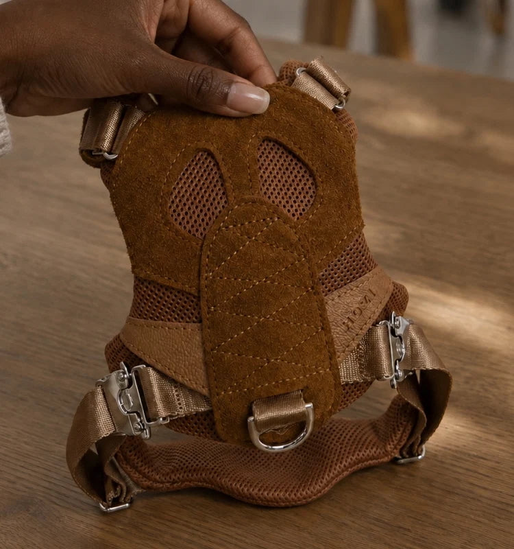 Artisan Harness : Camel