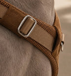 Artisan Harness : Camel