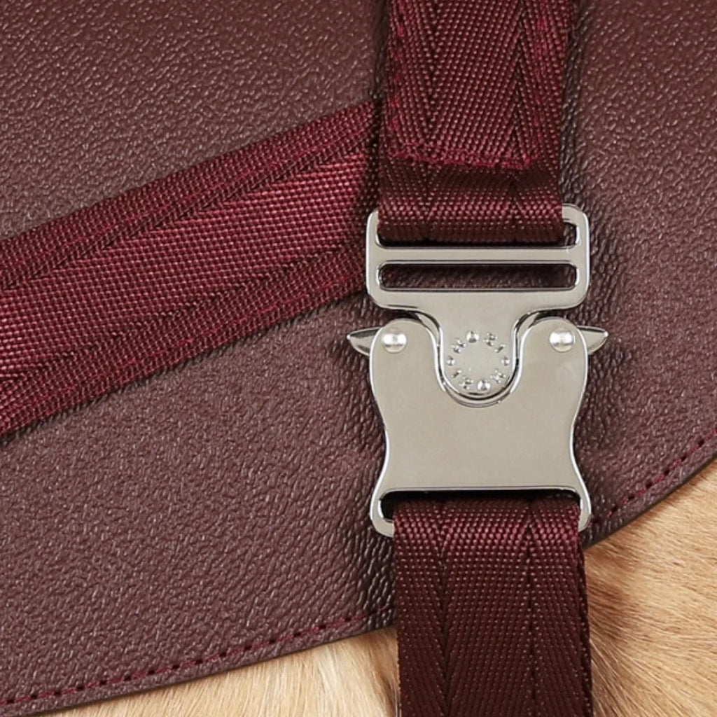 Saddle Harness : Burgundy