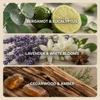 OlfiaStudio Home Scent Diffuser
