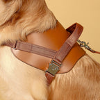 Saddle Harness : Camel