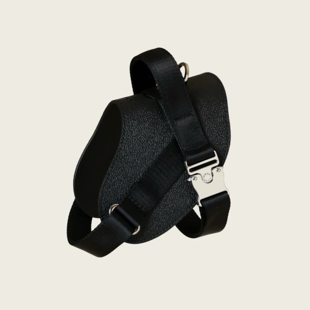 Saddle Harness : Black