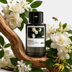 OlfiaStudio Home Scent Diffuser