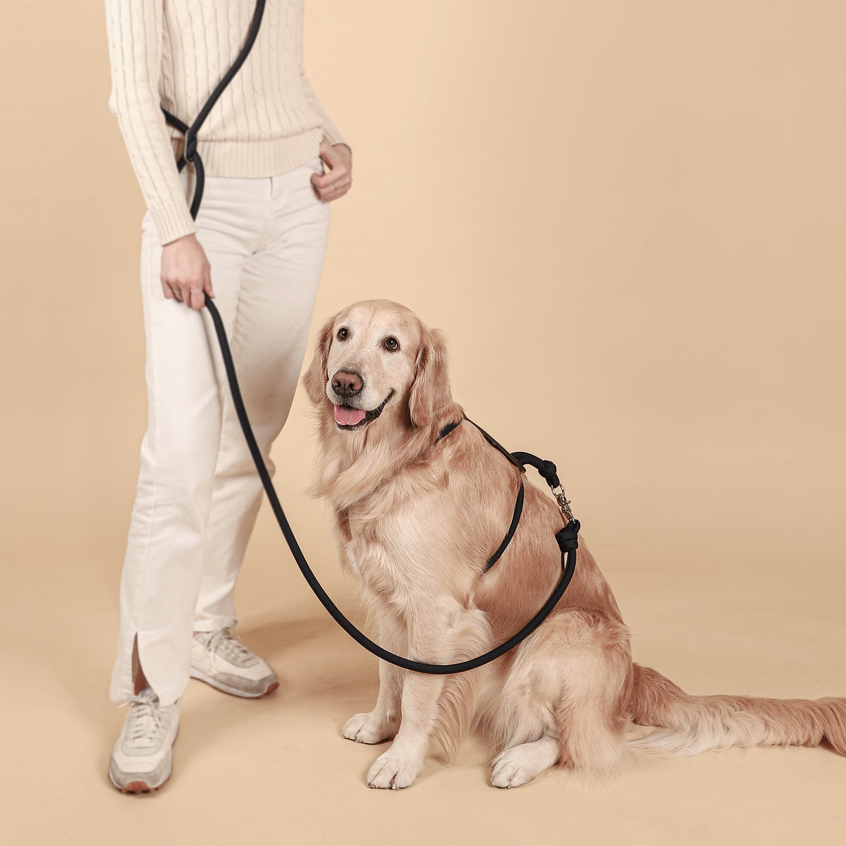 Essential Harness - Navy