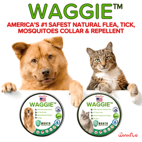 Natural Anti-Flea, Tick, & Mosquito Collar (Human-Grade 8+ Months Protection)