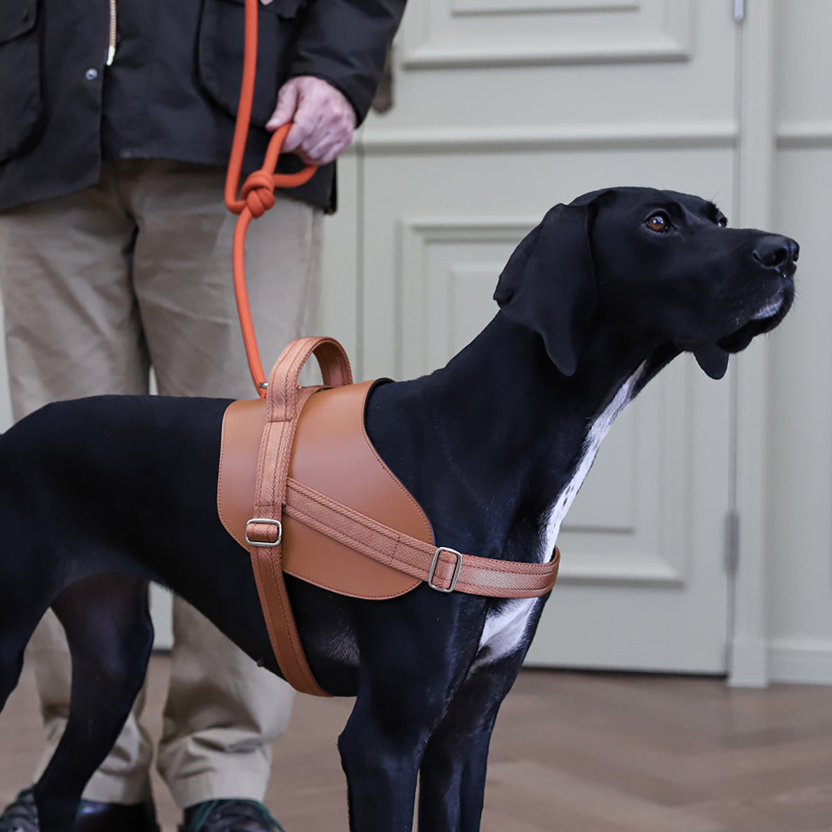 Saddle Harness : Camel