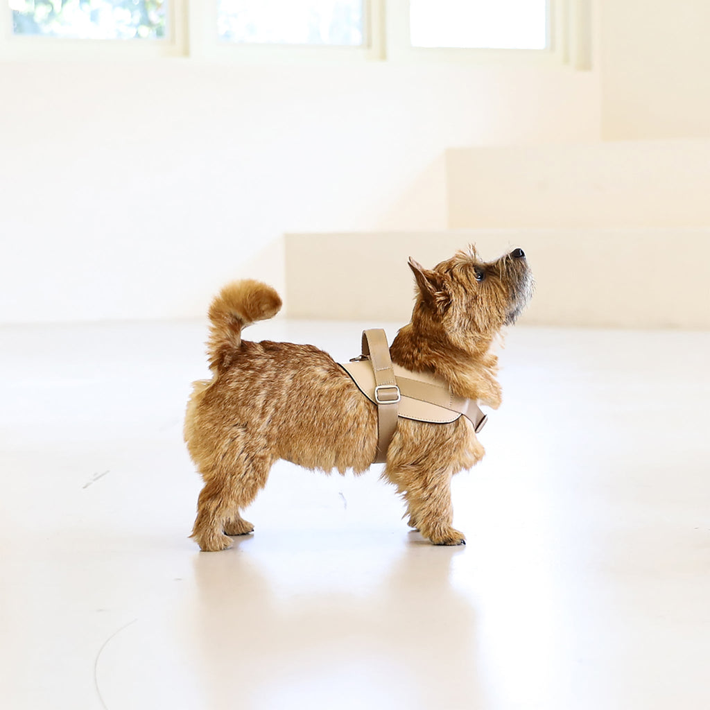Saddle Harness : Beige