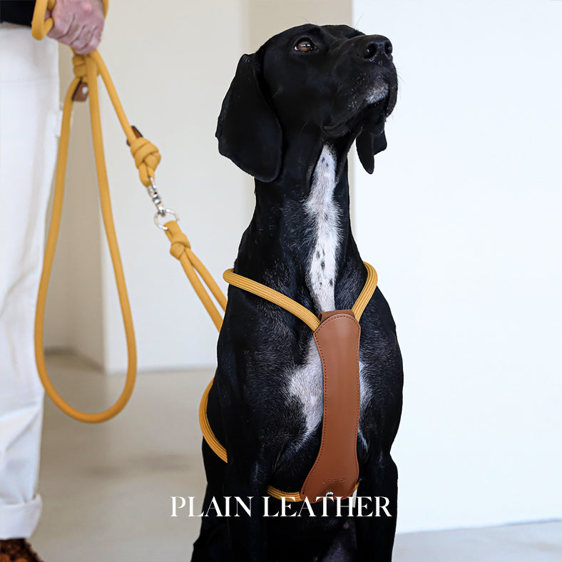 Essential Harness - Mustard