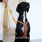 Essential Harness - Mustard