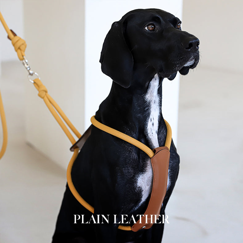 Essential Harness - Mustard
