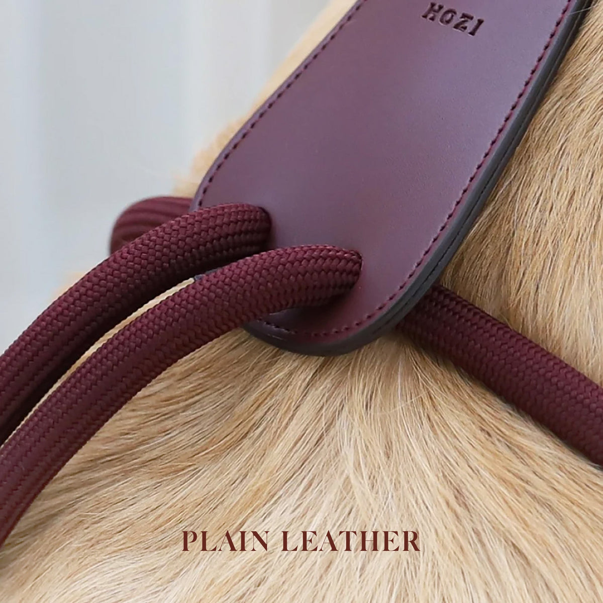 Essential Harness - Burgundy
