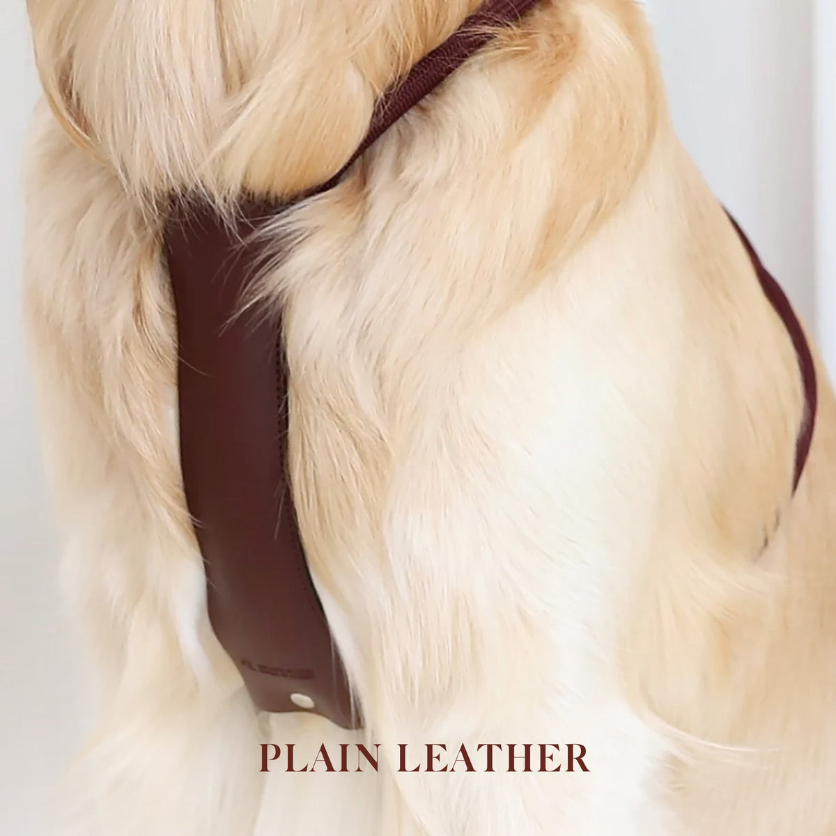 Essential Harness - Burgundy