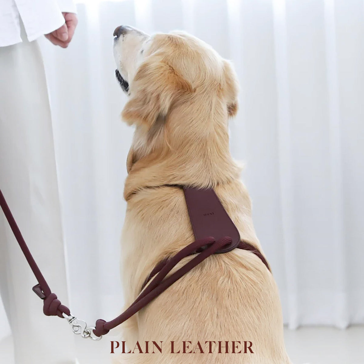 Essential Harness - Burgundy