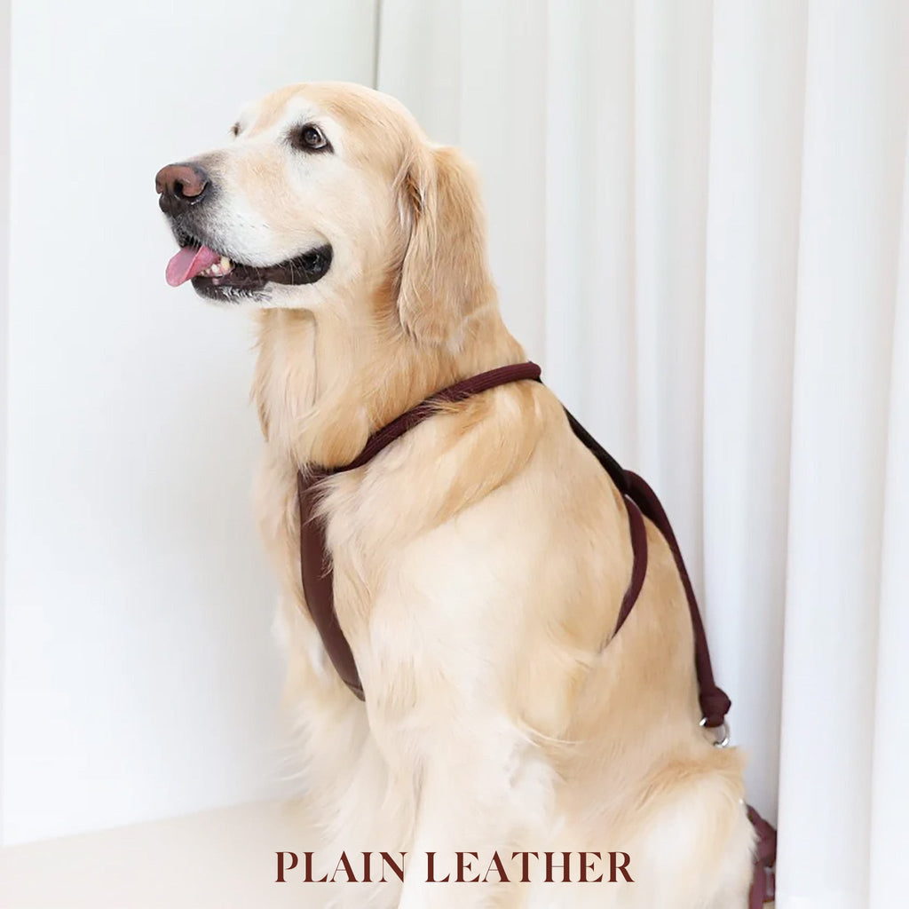 Essential Harness - Burgundy
