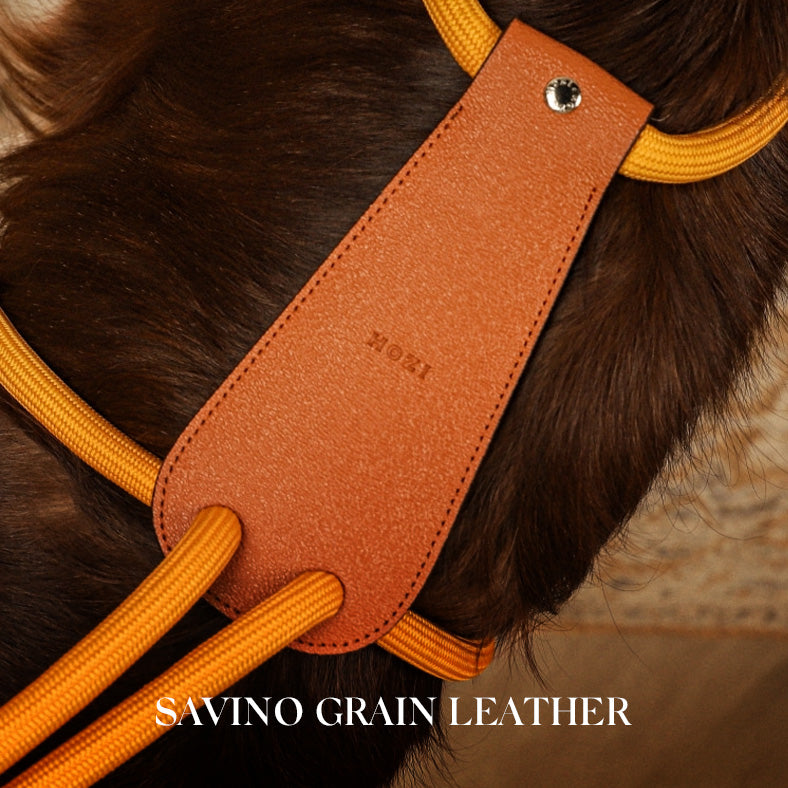 Essential Harness - Mustard