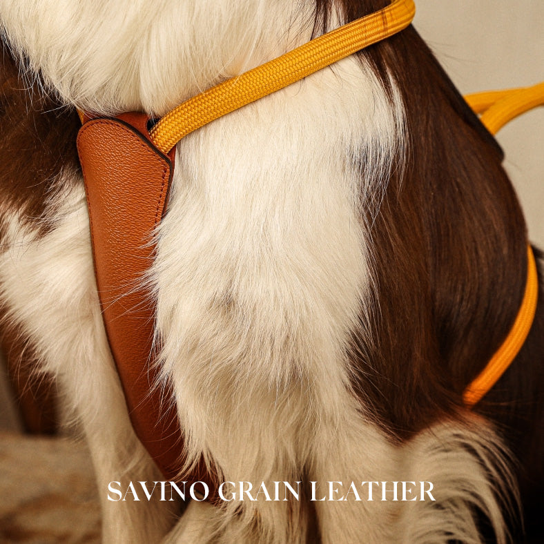 Essential Harness - Mustard