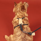 Essential Harness - Navy