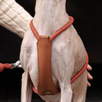 Essential Harness - Orange