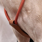 Essential Harness - Orange