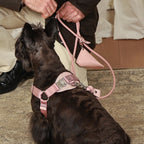 Horsebit Harness : Pink