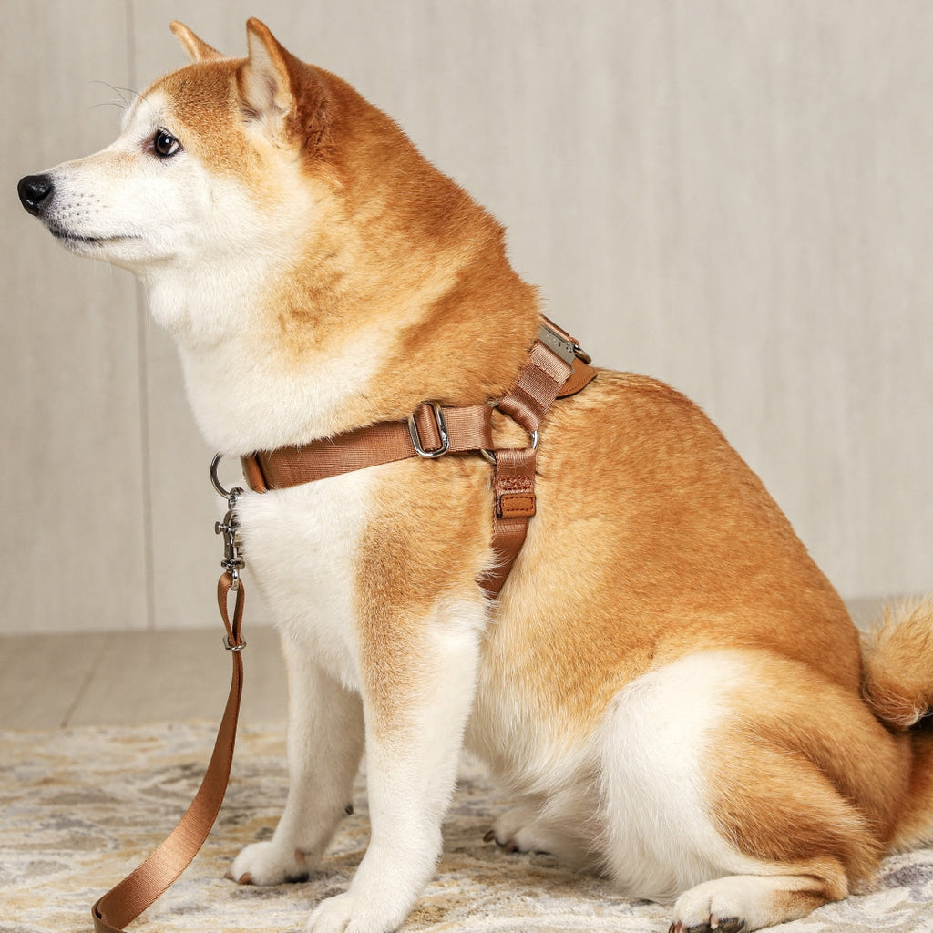 Horsebit Harness : Camel