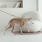All-In-One Harness - Pink