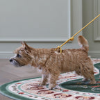 All-In-One Harness - Pink