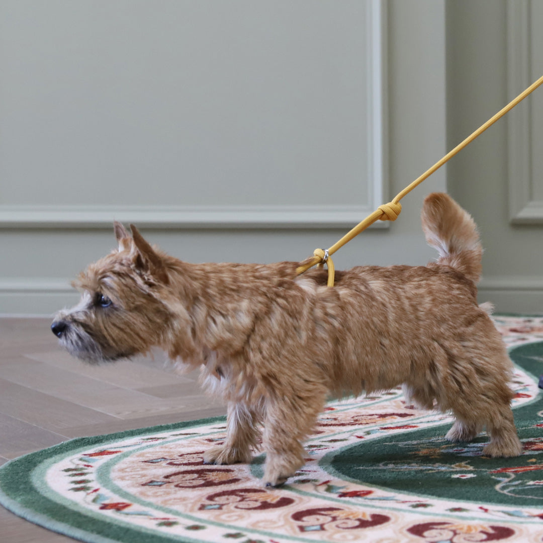 All-In-One Harness - Pink