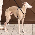 All-In-One Harness - Pink