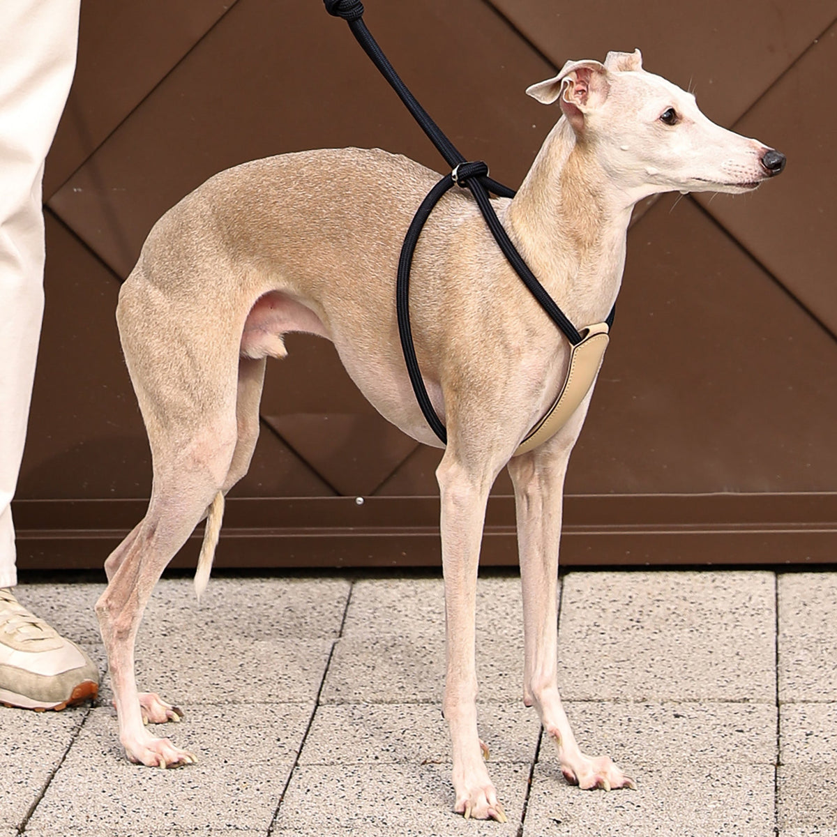 All-In-One Harness - Pink