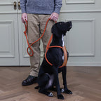 All-In-One Harness - Deep Green