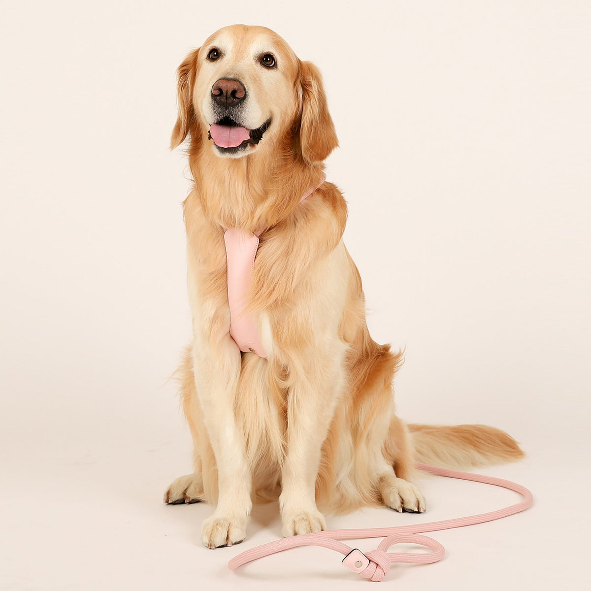 All-In-One Harness - Pink