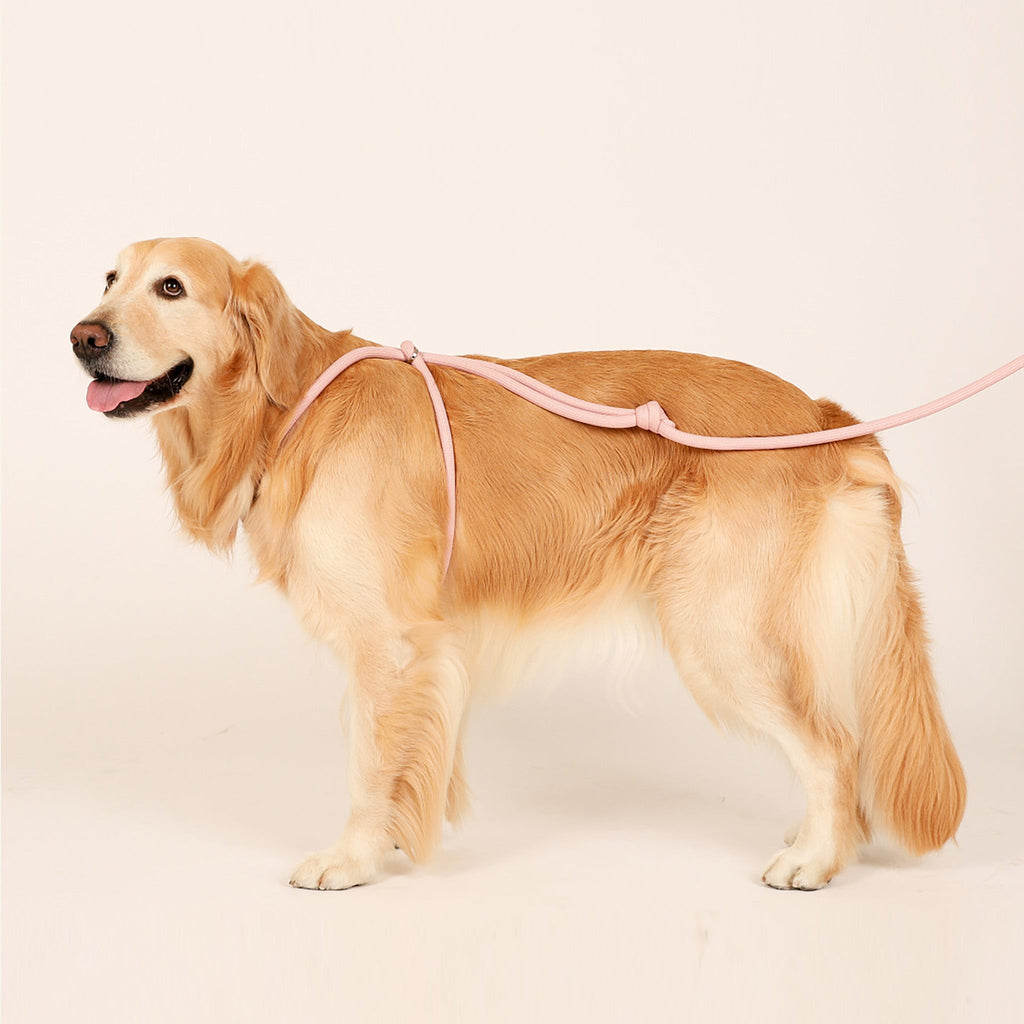 All-In-One Harness - Deep Green