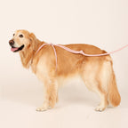 All-In-One Harness - Deep Green