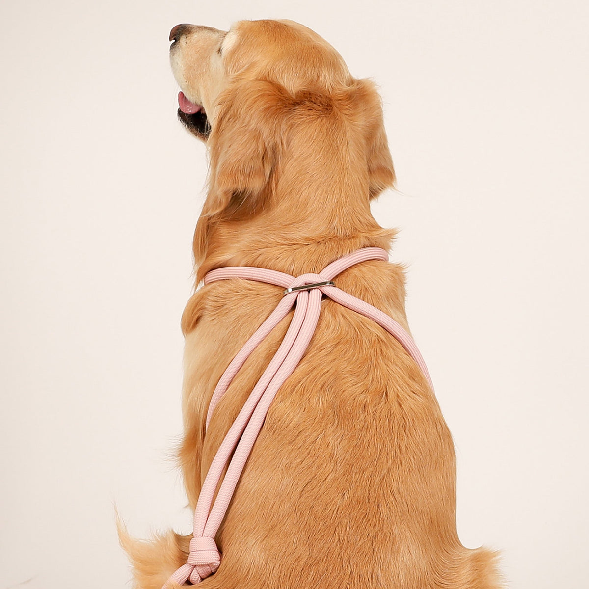 All-In-One Harness - Deep Green